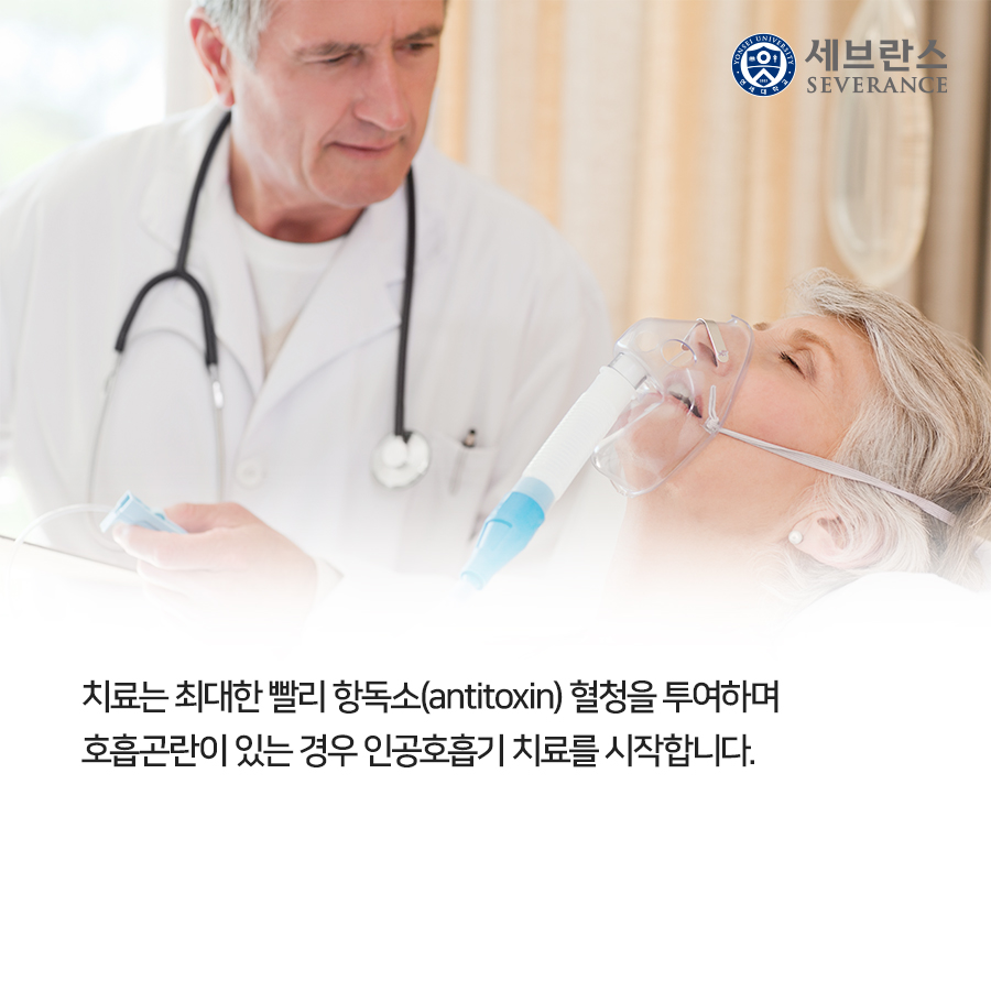 치료는 최대한 빨리 항독소(antitoxin) 혈청을 투여하며 호흡곤란이 있는 경우 인공호흡기 치료를 시작합니다.