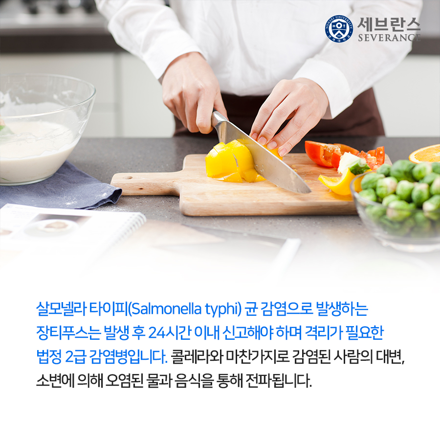 살모넬라 타이피(Salmonella typhi) 균 감염으로 발생하는 장티푸스는 발생 후 24시간 이내 신고해야 하며 격리가 필요한 법정 2급 감염병입니다. 콜레라와 마찬가지로 감염된 사람의 대변, 소변에 의해 오염된 물과 음식을 통해 전파됩니다.